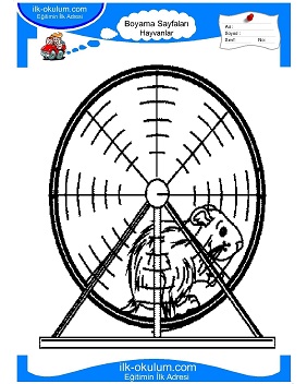 Çocuklar İçin Hamster Boyama Sayfaları 